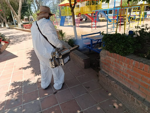 Imagen Salud Municipal de Torreón mantiene acciones contra mosquitos y garrapatas