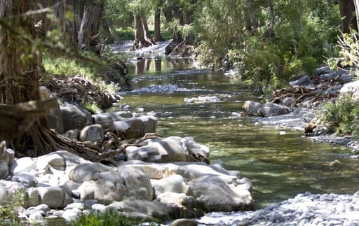 Imagen Muere un menor de 16 años ahogado en el Río La Silla en Nuevo León