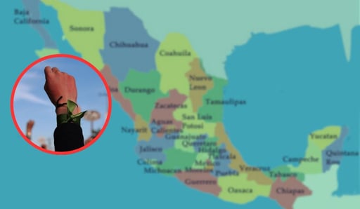 Imagen ¿En qué estados de México es legal el aborto?