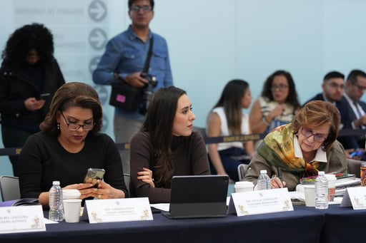 Imagen Cecilia Guadiana critica reforma energética de Peña Nieto