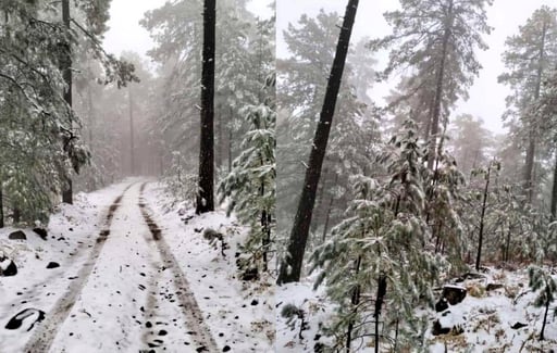 Nevadas en Chihuahua (CAPTURA)