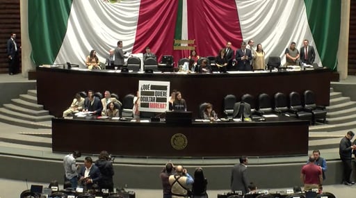 Cámara de Diputados. (ESPECIAL)