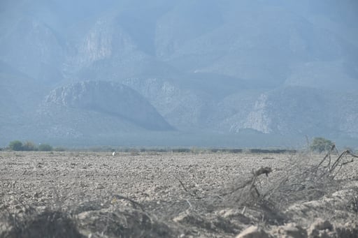 En la última quincena hubo un aumento de la superficie afectada por sequía en Coahuila