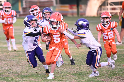 Imagen Jaguares y Vikingos brillan en las finales de AFAIL 2024 con títulos emocionantes