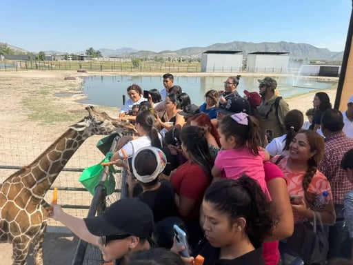 Imagen ¿Sabías que en Lerdo hay jirafas, camellos e hipopótamos? Así puedes llevar a tus hijos a conocerlos