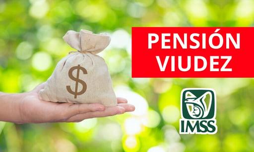 Imagen IMSS: ¿Puedes perder la pensión por viudez si te vuelves a casar?