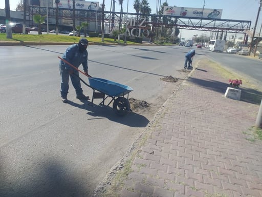 Imagen Realizan limpieza en puentes vehiculares sobre el lecho seco del Nazas