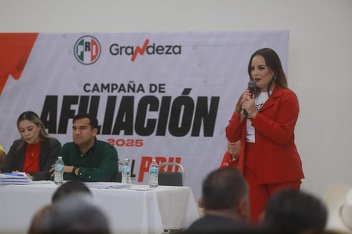 Imagen Susy Torrecillas solicita licencia para separarse del cargo de diputada local