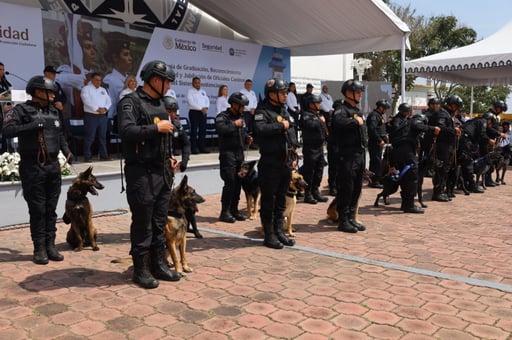 Imagen Se jubilan y dan en adopción a 16 oficiales caninos