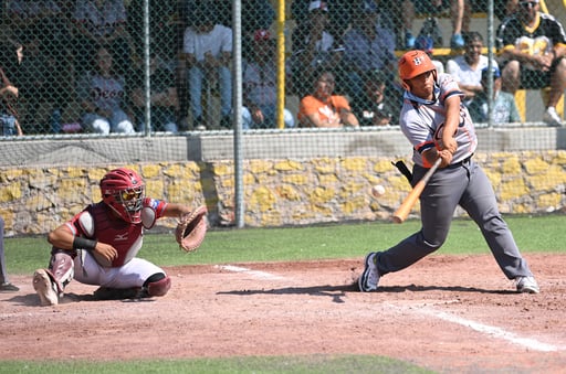 Liga de Beisbol de Empleados y Profesionistas.