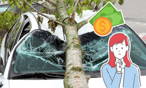 Imagen ¿El seguro de auto puede cubrir los daños por la caída de un árbol?