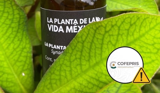 Imagen ¡No se deje engañar! Cofepris alerta sobre 'La Planta de Vida México'