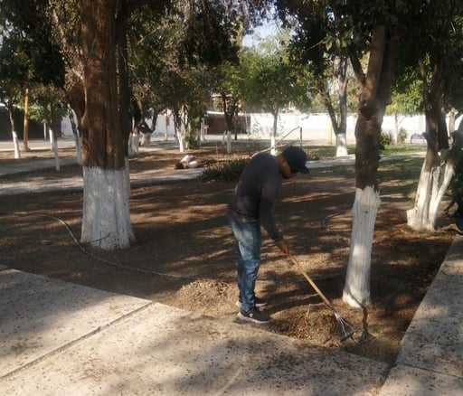 Imagen Realizan trabajos de limpieza en el Fraccionamiento del Bosque de Gómez Palacio