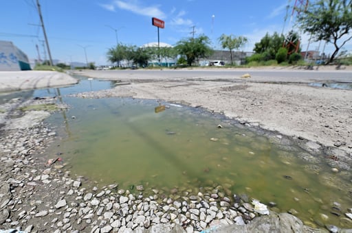 El virus se transmite al ingerir agua o alimentos contaminados. (EL SIGLO DE TORREÓN)
 
