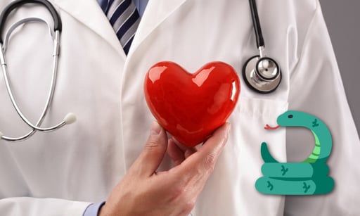 Imagen ¿Por qué la serpiente es símbolo de la medicina moderna?