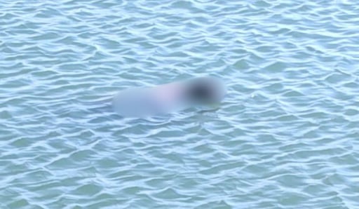 Imagen Muere joven ahogado en estanque de Mapimí, presuntamente lavaba su ropa