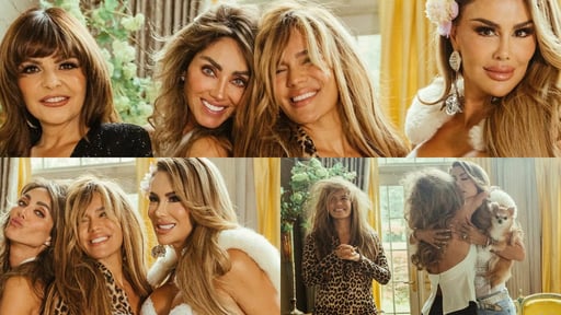 Imagen Ninel Conde revive a 'Alma Rey' para colaborar junto a Karol G