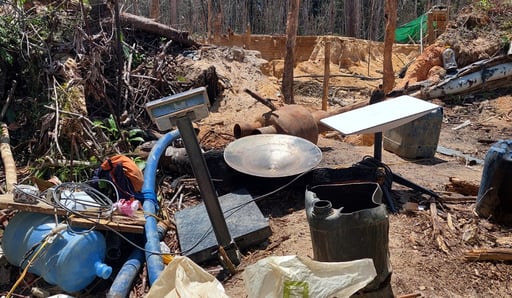 Imagen Brasil llega a acuerdo con Starlink de Musk para frenar el uso criminal en la Amazonía