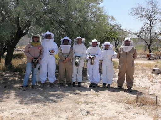 Imagen Invitan a curso básico de Apicultura en FCB de UJED de Gómez Palacio