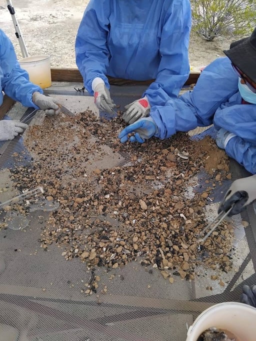 Imagen Ubican siete puntos de fosas clandestinas en municipios de La Laguna