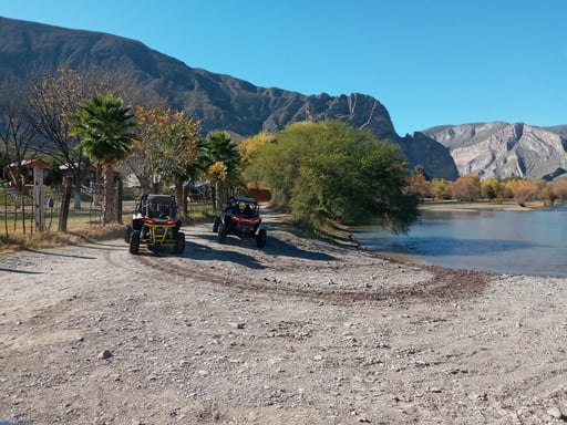 Imagen Denuncian atropellamiento constante de tortugas por vehículos 'racers' en el Cañón de Fernández