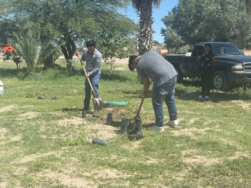 Imagen Reforestan espacio público en ejido Albia de San Pedro