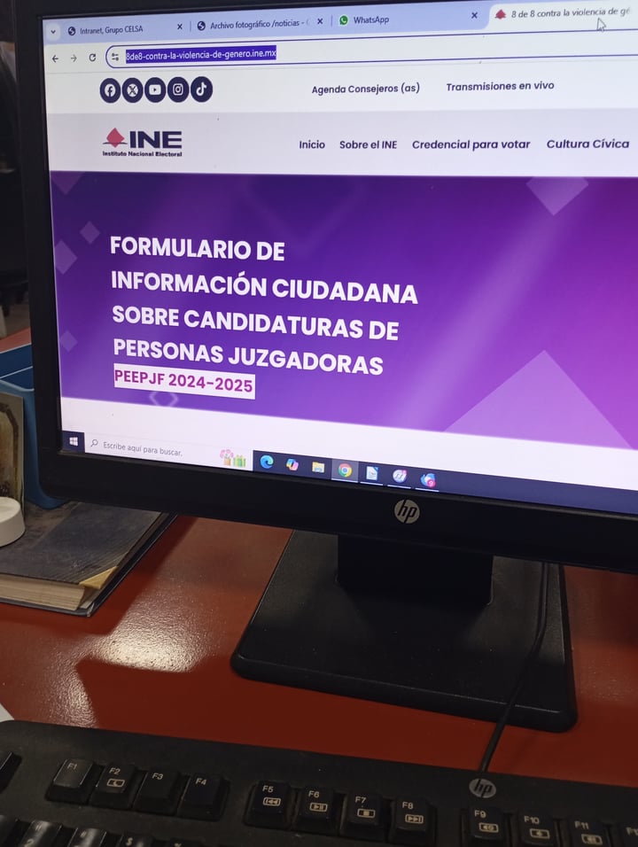 Las organizaciones o personas interesadas pueden mandar sus denuncias
al sitio https://8de8-contra-la-violencia-de-genero.ine.mx/ 