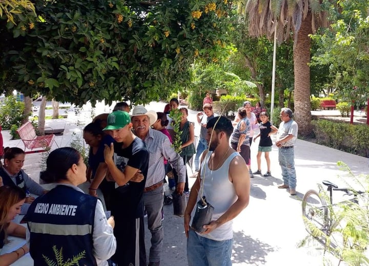 La campaña se realizará en el domo de la colonia San Fernando.
