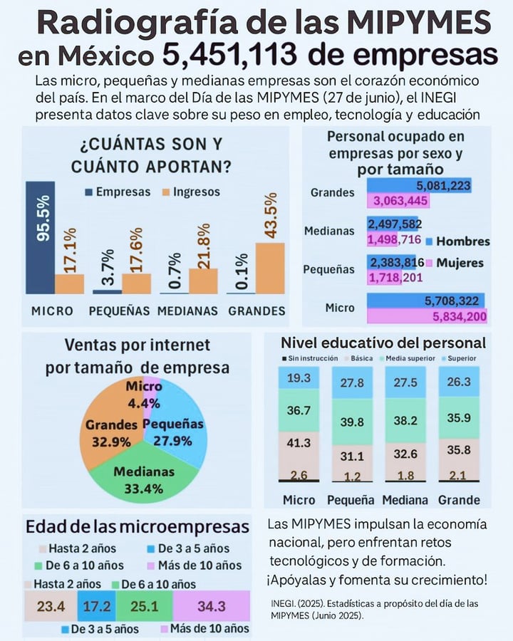 Mipymes en México: el motor del empleo y la actividad económica
