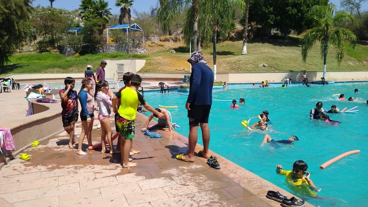 La natación es uno de los atractivos del curso de verano en el Campestre Gómez Palacio, debido a la enseñanza que reciben los participantes.
