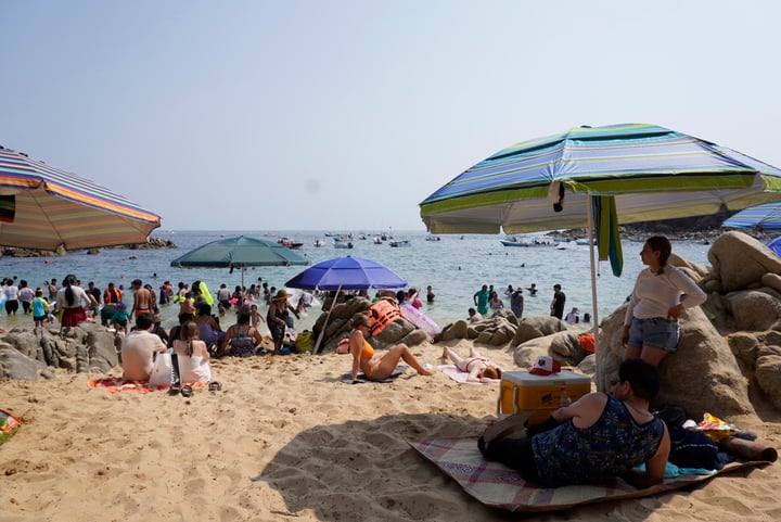 Viaja sin caer en trampas: recomendaciones para un verano tranquilo