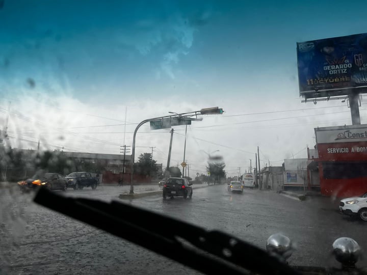 Lluvias y vientos provocan caída de árboles y daños viales en Saltillo