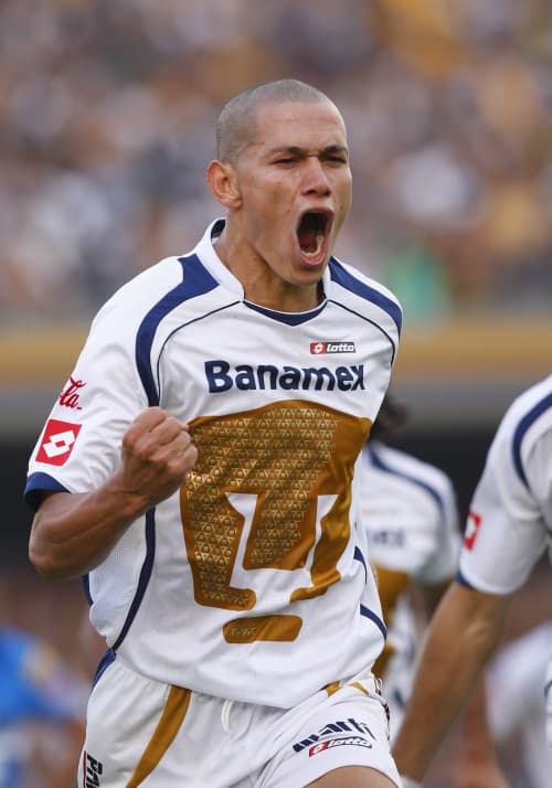 Pese a que Pumas de la UNAM no se reforzó para el Torneo Bicentenario 2010 del futbol mexicano, el defensa paraguayo Darío Verón consideró que tienen un plantel importante que se puede complementar con los elementos de las fuerzas básicas.
