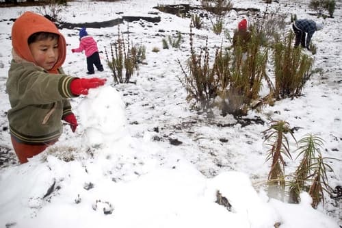 Enero blanco. Habitantes de Santo Tomás Ajusco en la delegación Tlalpan y familias de la Ciudad de México acuden a las zonas altas de la localidad, donde se registrara una intensa caída de aguanieve. EL UNIVERSAL