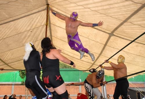 Muchos ex luchadores, como el Águila Solitaria, no olvidan sus grandes momentos que vivieron sobre el ring. Pero ahora pelean en un cuadrilátero más duro, el de todos los días por tratar de conseguir su sustento. Xxxxxxxxxxxx x xx x x xxxx xx xx xxxxxxxxxx xx xxxx xxxx xx xxxxxx. El legendario Águila Solitaria vuela lejos del ring