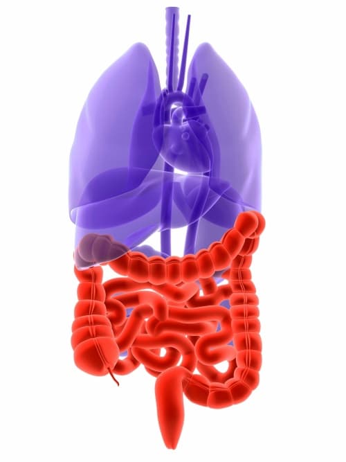 Aún no se puede afirmar que el consumo de suplementos de vitamina D pueda evitar el cáncer de colon.