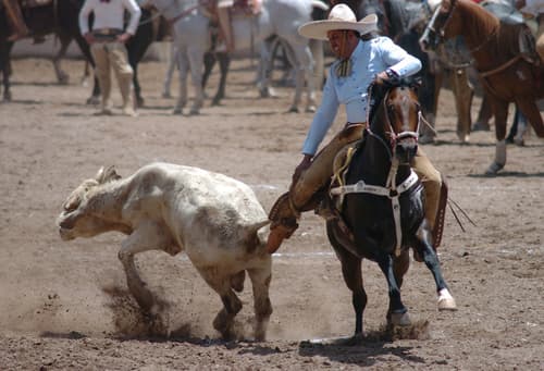 A feliz término llegó ayer el Campeonato Estatal Charro de Durango 'Don Armando Espeleta Benítez' (Archivo)