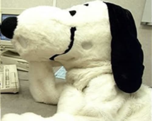 El acompañante inseparable de Charlie Brown recobró vida e hizo acto de presencia en la cárcel de Her Majesty’s Prison, donde acudió armado con una pistola de agua y un cómplice poco brillante.