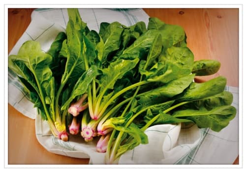 Consumir verduras y frutas de manera frecuente puede ayudar a optimizar la tonalidad natural de tu piel.