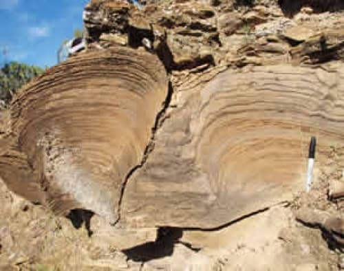 El especimen data de la Era Neoproterozoica que comenzó hace mil millones de años y concluyó hace 542 millones de años.