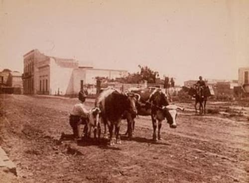 Una invitación. El Archivo Municipal buscará no sólo mostrar su acervo iconográfico, sino invitar a los laguneros a consultar sus documentos, libros y todo el material de investigación que allí se encuentra.  EL SIGLO DE TORREÓN / CORTESÍA