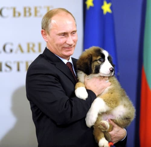 El primer ministro de Rusia, Vladímir Putin, ha invitado a los rusos a que elijan un nombre para su nuevo perro, regalo de su homólogo búlgaro, Boiko Borisov, en su reciente visita a Sofía. (EFE)
