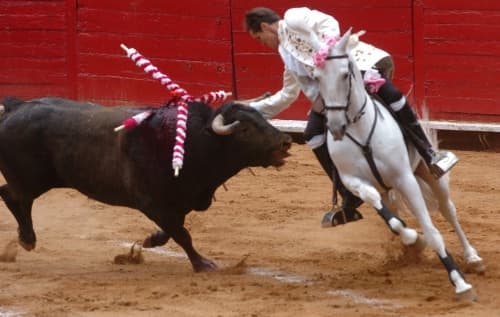 El potosino Gastón Santos es un rejoneador con tradición, ya que su padre fue uno de los grandes de la fiesta brava mexicana.