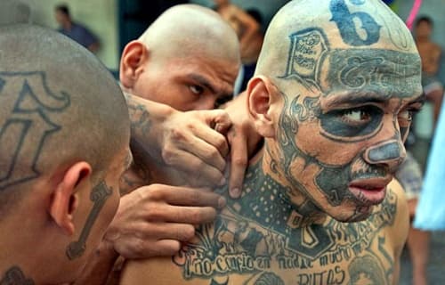 La Alianza Francesa de Toluca llevará a cabo la inauguración de la exposición: 'La vida loca', que consta de una serie de fotografías tomadas por el fotógrafo y cineasta hispano-francés, Christian Poveda.