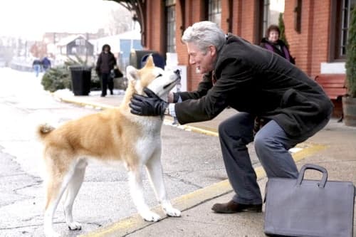 La historia del perro fue llevada al cine en 2009 en la película 'Hachi: A Dog's Story', con Richard Gere.