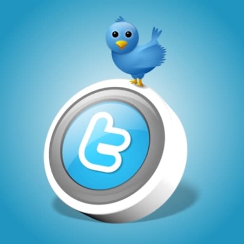 Red social. Reportan que en México se tienen 4 millones 103 mil 200 cuentas de Twitter, de las cuales un 60% están activas.