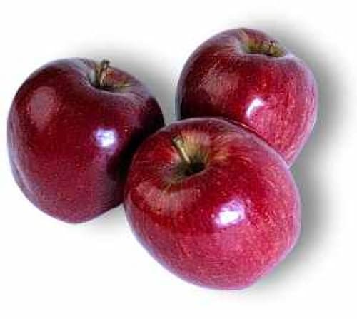 El ácido ursólico se encuentra en la piel del fruto, además reduce la grasa, los niveles de azúcar, colesterol y triglicéridos.