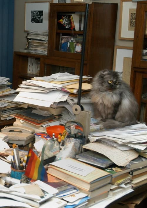 'Cuando Carlos Monsiváis falleció estaba en un proceso de reorganización de su propia biblioteca. Desgraciadamente la enfermedad y luego la muerte, evitaron que este proceso continuara' EFE