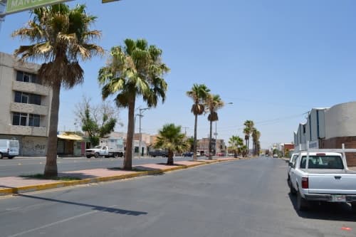 Obras Públicas construye una ciclo vía que incluirá eliminar 20 árboles de este bulevar en su tramo calzada Colón al Nudo Mixteco. (Archivo)