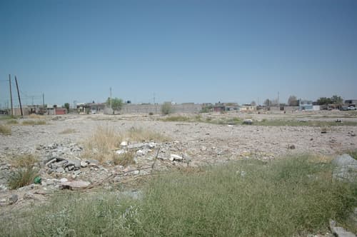 Sin árboles. No existe una sola plaza o área verde en toda la colonia Rincón del Bosque.